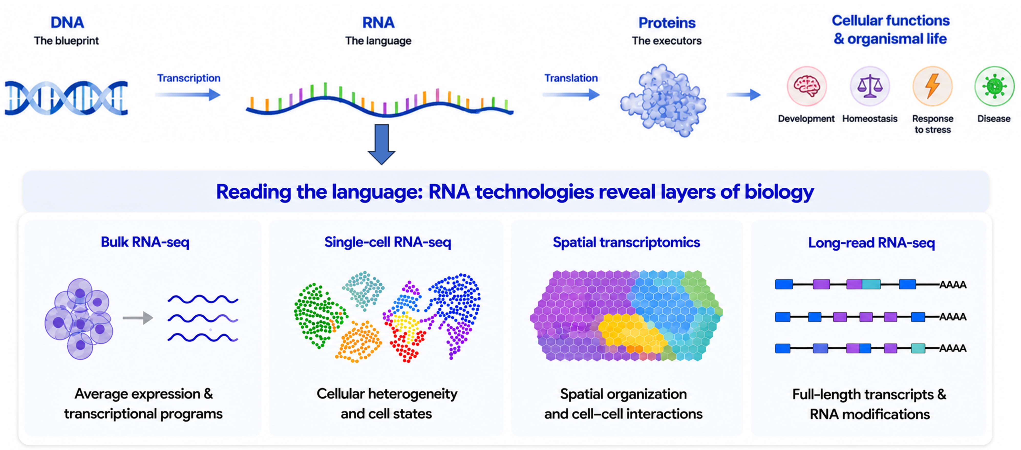 Advanced RNA Sequencing to Define Glioma Biology