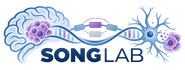SONG LAB