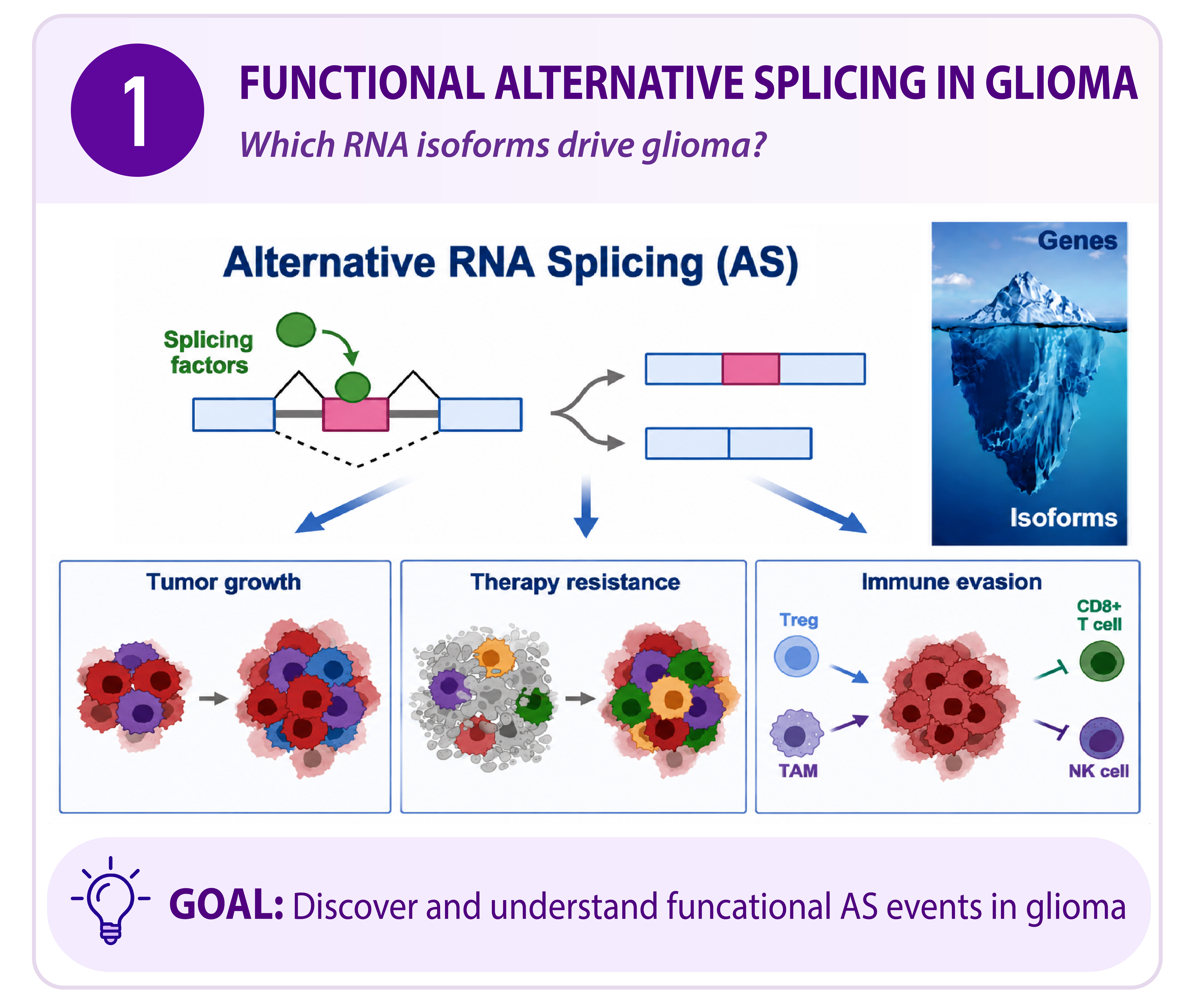 Defining Functional RNA Splicing Programs in Glioma