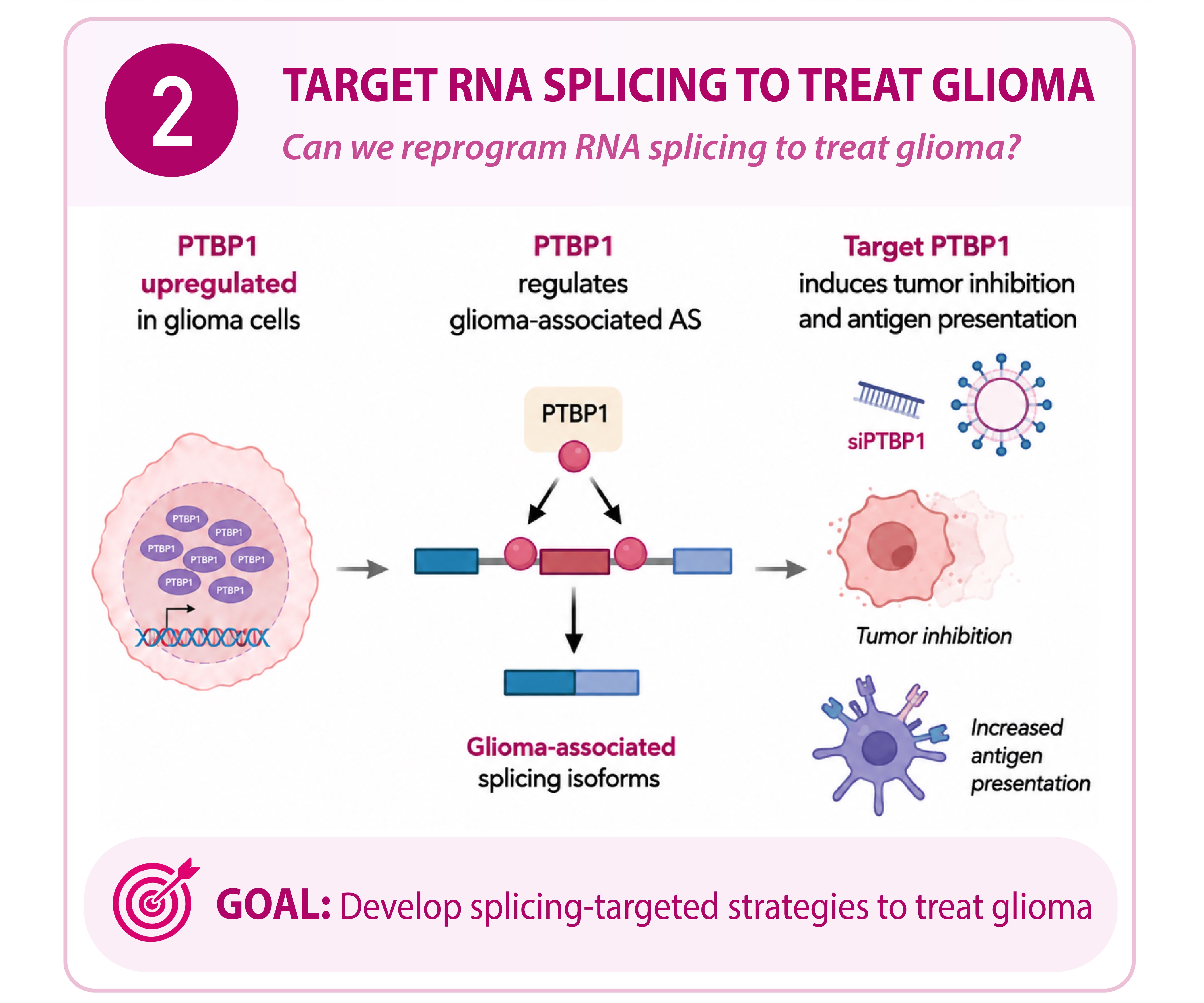 Targeting Splicing Factors for Glioma Therapy
